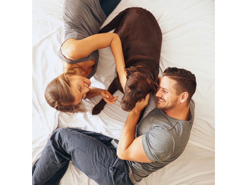Top view of happy young family relaxing on bed together. Man and woman with pet dog in bedroom.