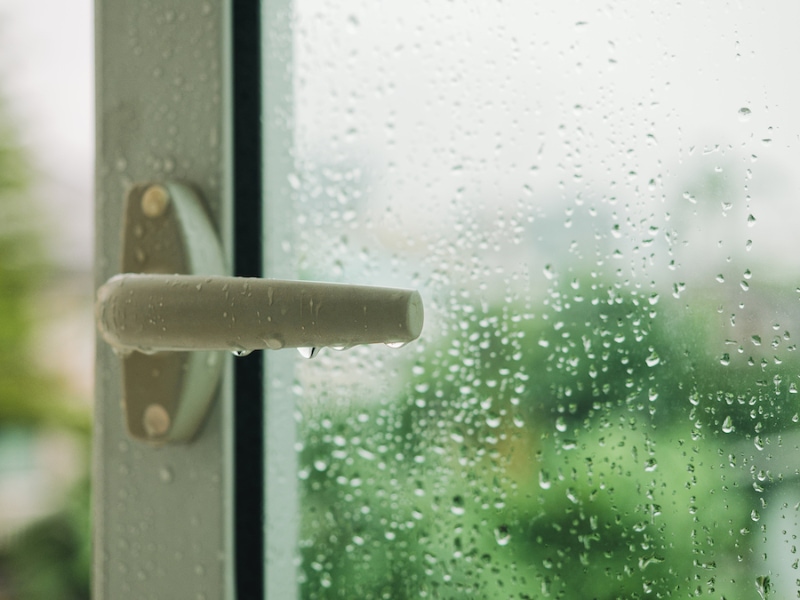 Why You Need Whole-House Humidity Control. Raindrop on window with Handle Blur tree background Rainy Season.